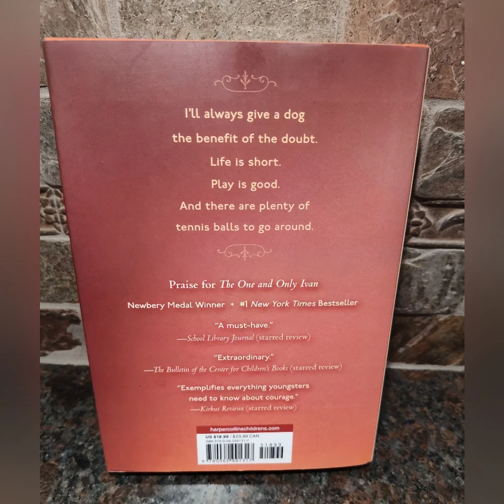 The One and Only Bob Book, Hardcover